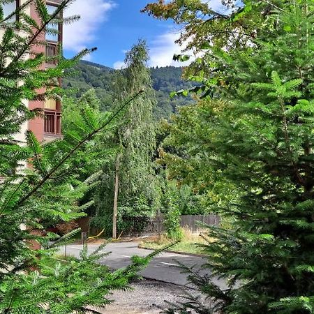 Sinaia Relax Residence エクステリア 写真
