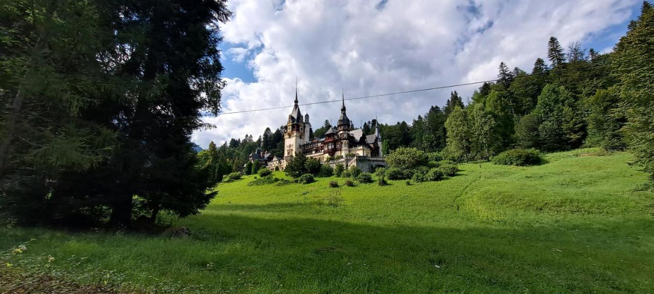 Sinaia Relax Residence エクステリア 写真