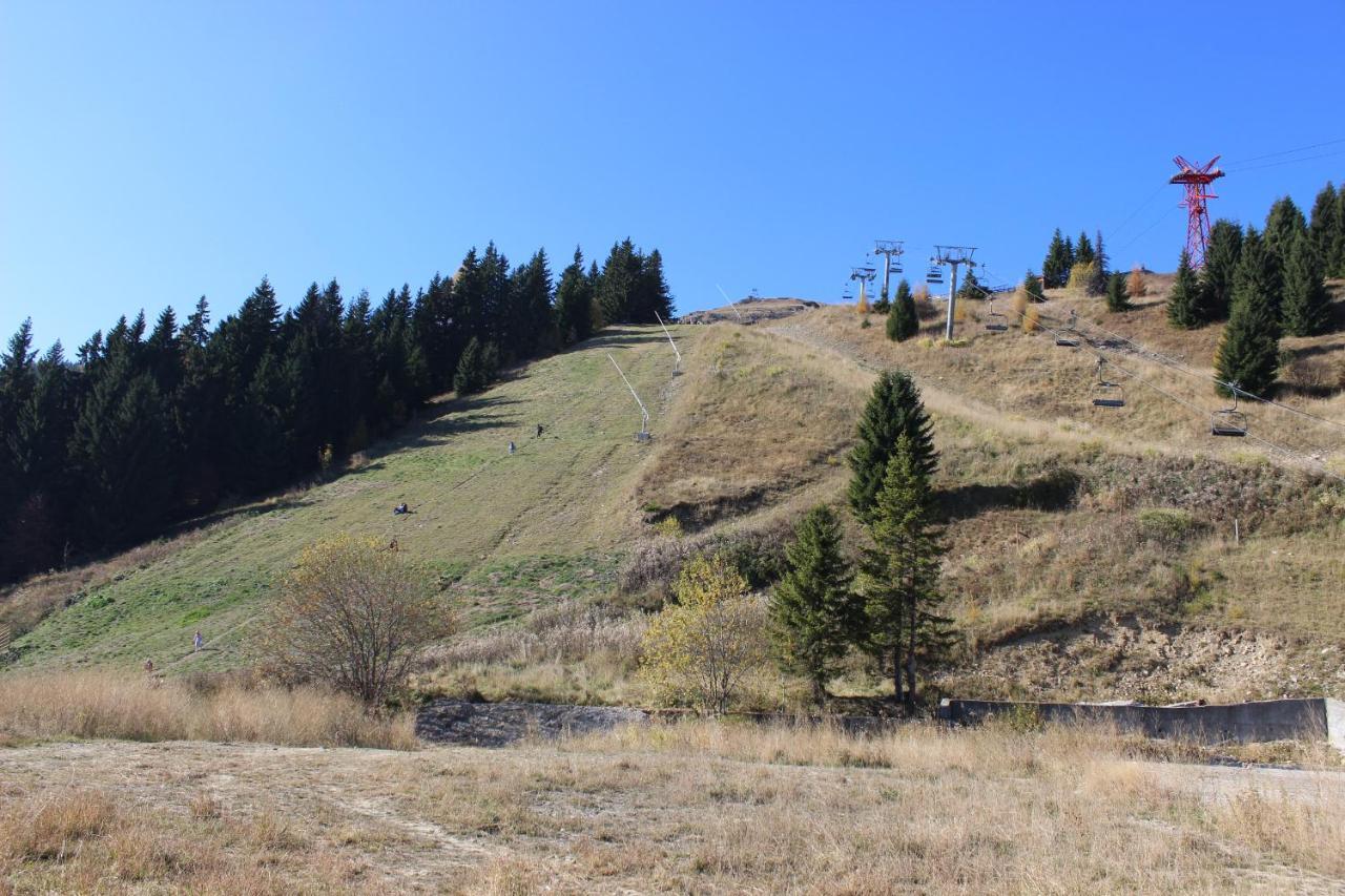 Sinaia Relax Residence エクステリア 写真