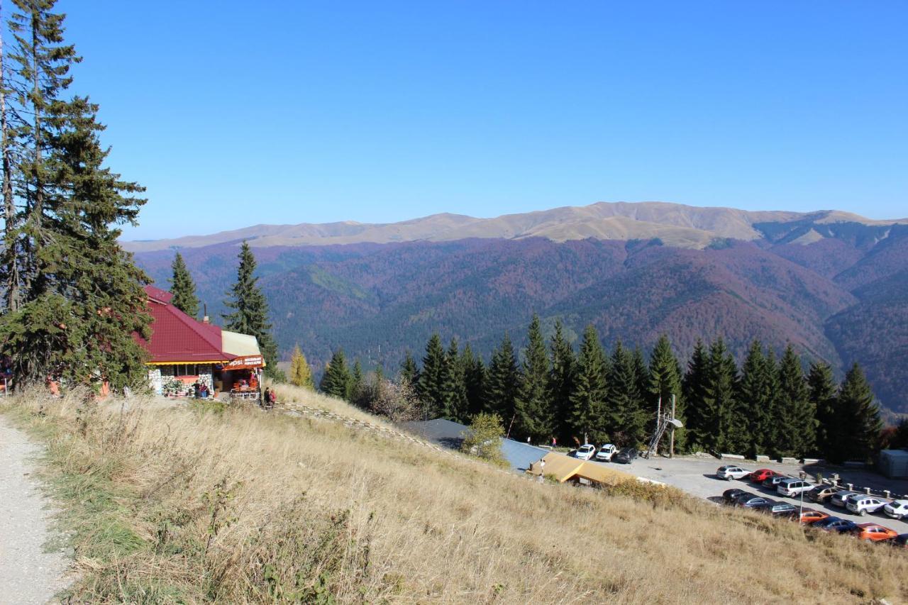 Sinaia Relax Residence エクステリア 写真